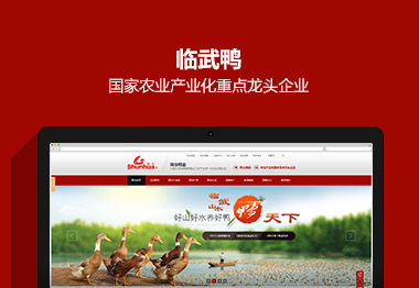 湖南臨武舜華鴨業(yè)營銷品牌網(wǎng)站案例